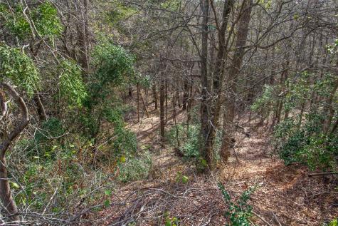 Tbd Hanauma Bastrop TX 78602