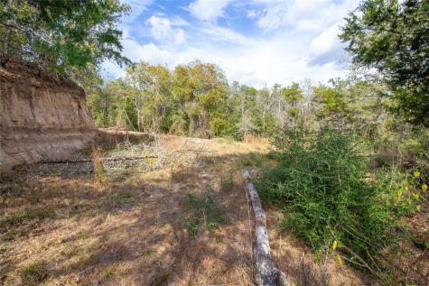 Tbd Hanauma Bastrop TX 78602