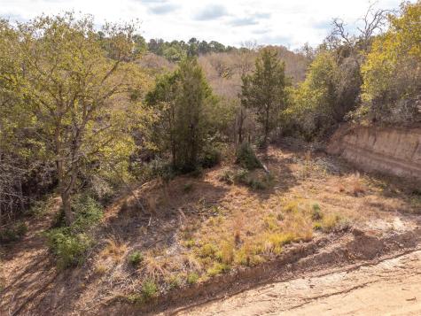 Tbd Hanauma Bastrop TX 78602