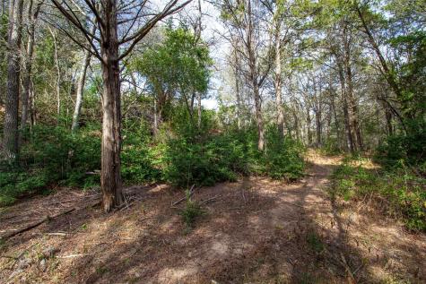 Tbd Hanauma Bastrop TX 78602