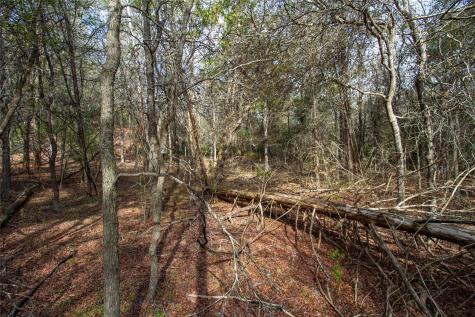 Tbd Hanauma Bastrop TX 78602