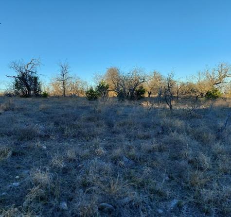 Tbd Lot# 33 Comanche Hills Drive Comanche TX 76442