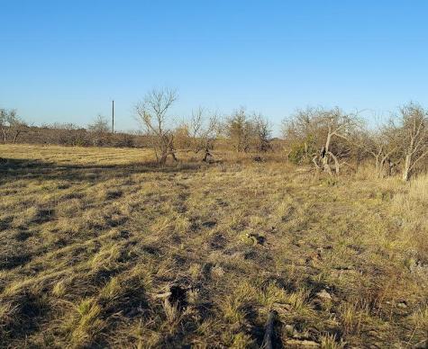 Tbd Lot# 33 Comanche Hills Drive Comanche TX 76442