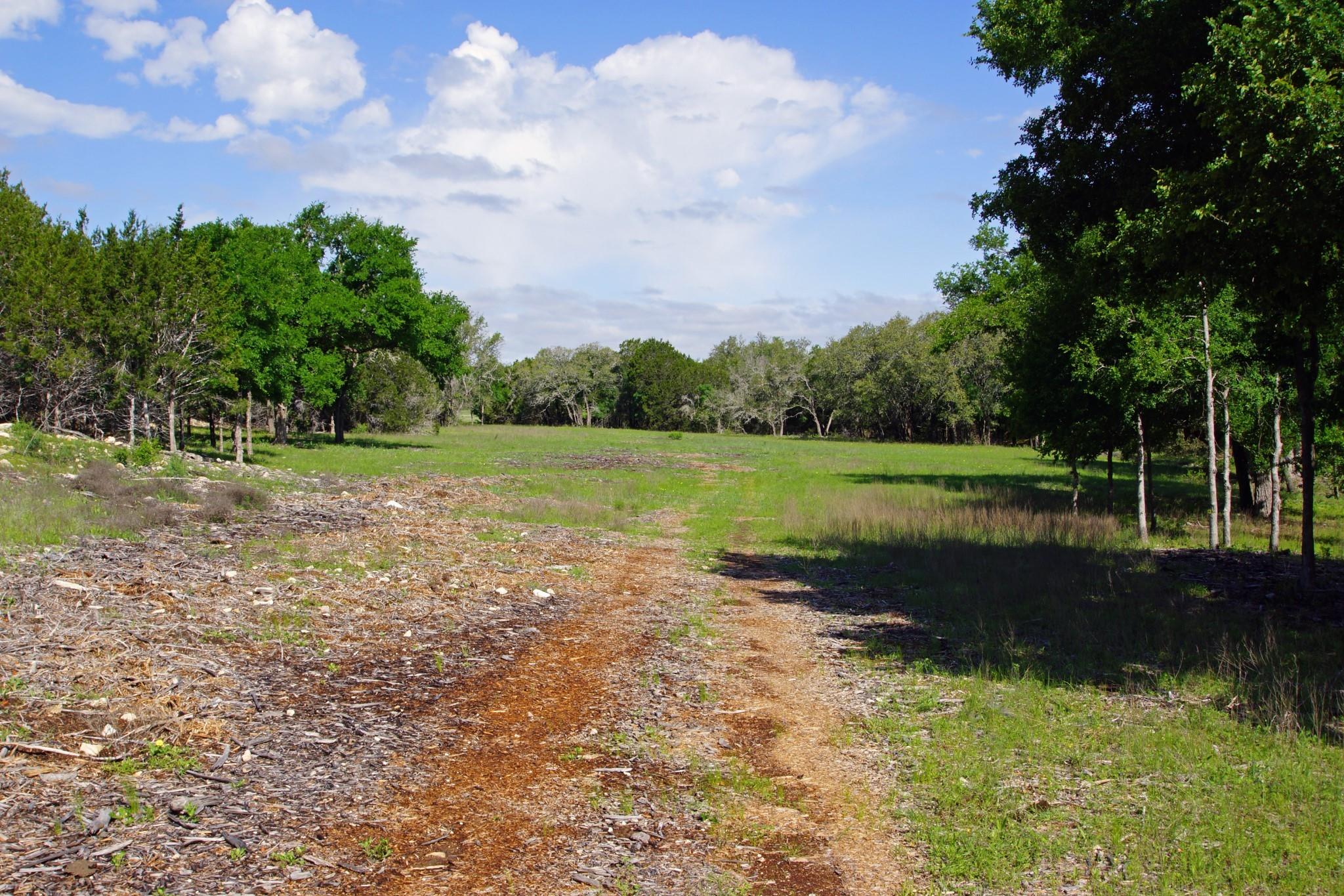 Lot 48 Bridget Court Briggs TX 78608