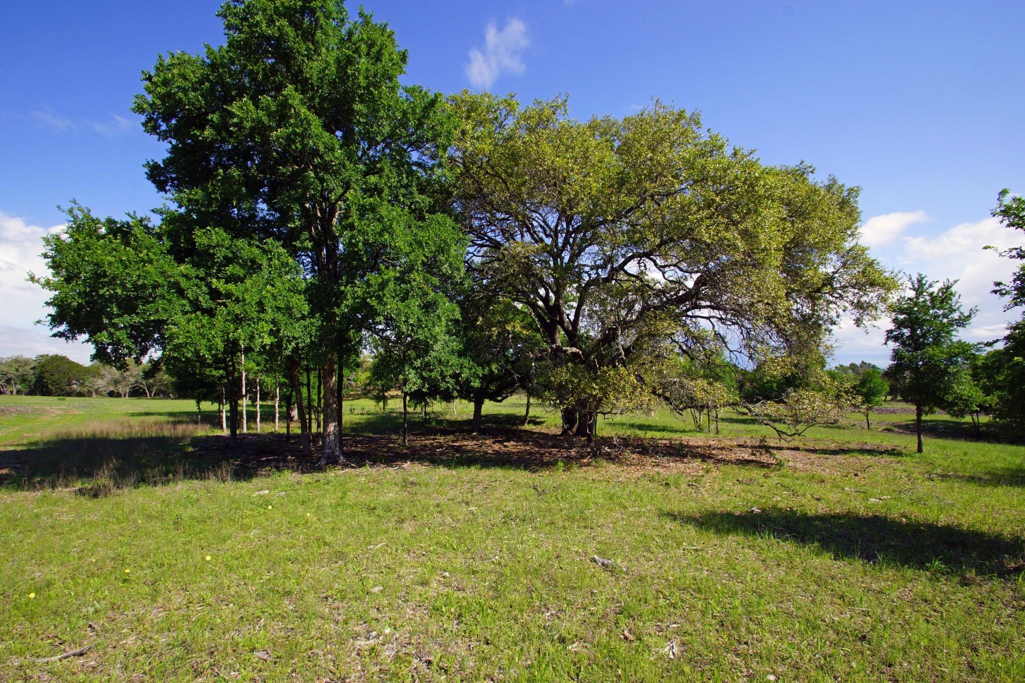 Lot 48 Bridget Court Briggs TX 78608