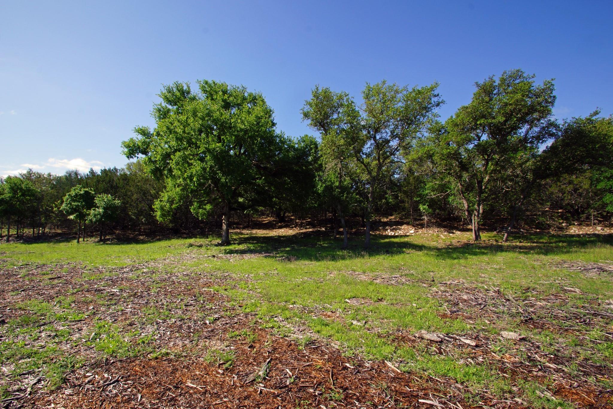 Lot 48 Bridget Court Briggs TX 78608