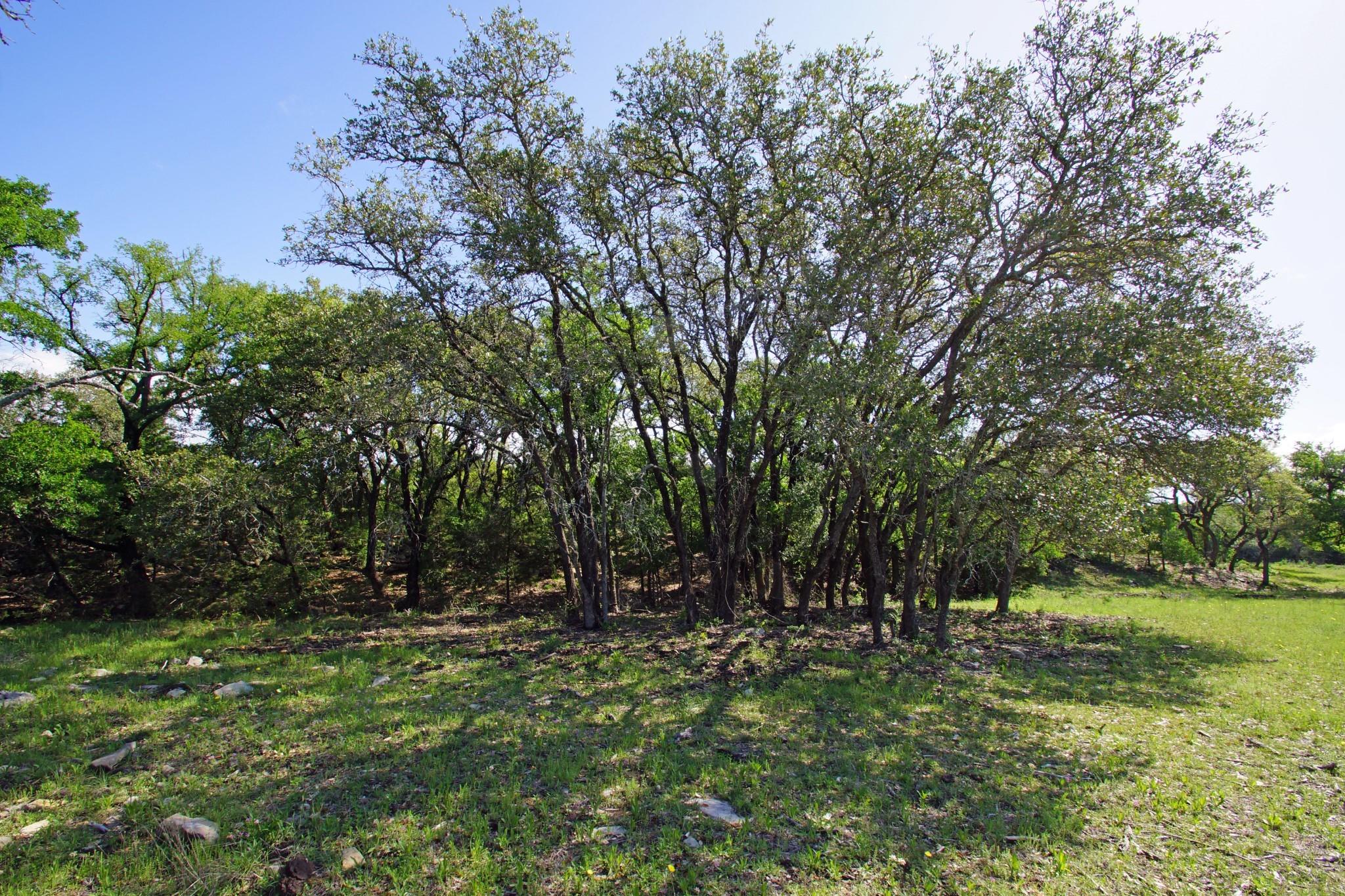 Lot 48 Bridget Court Briggs TX 78608