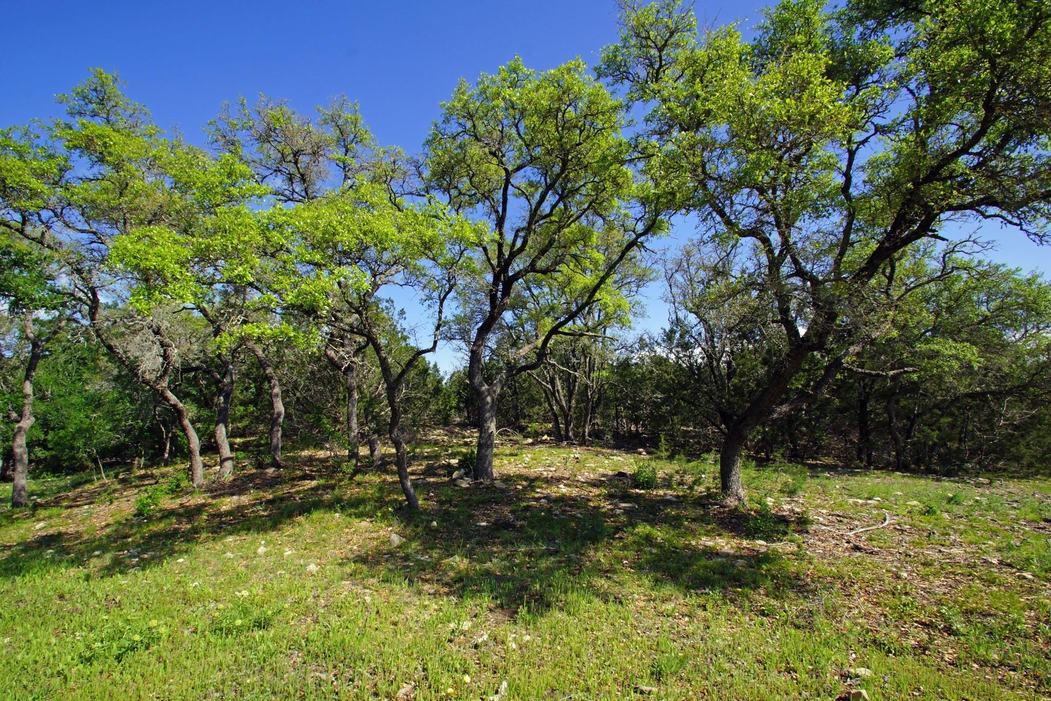 Lot 48 Bridget Court Briggs TX 78608