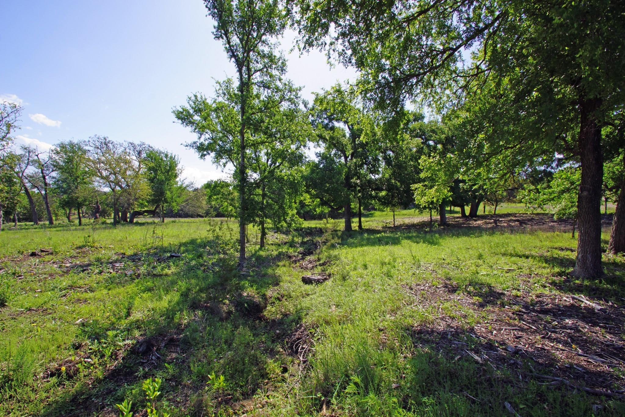 Lot 48 Bridget Court Briggs TX 78608