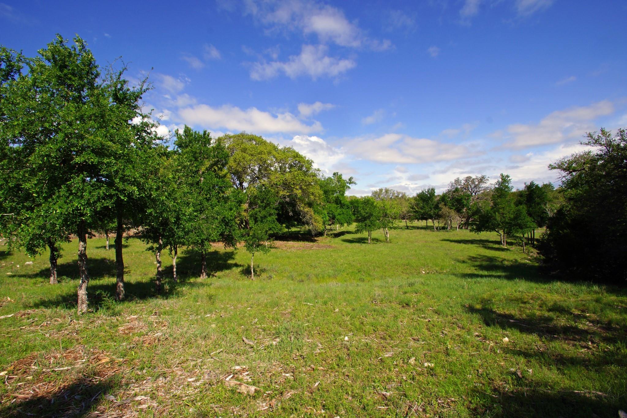 Lot 48 Bridget Court Briggs TX 78608