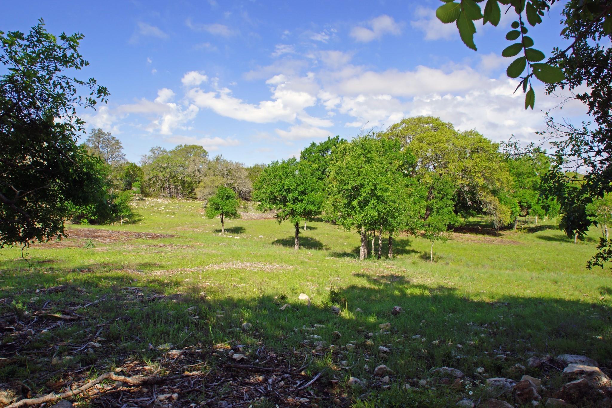 Lot 48 Bridget Court Briggs TX 78608