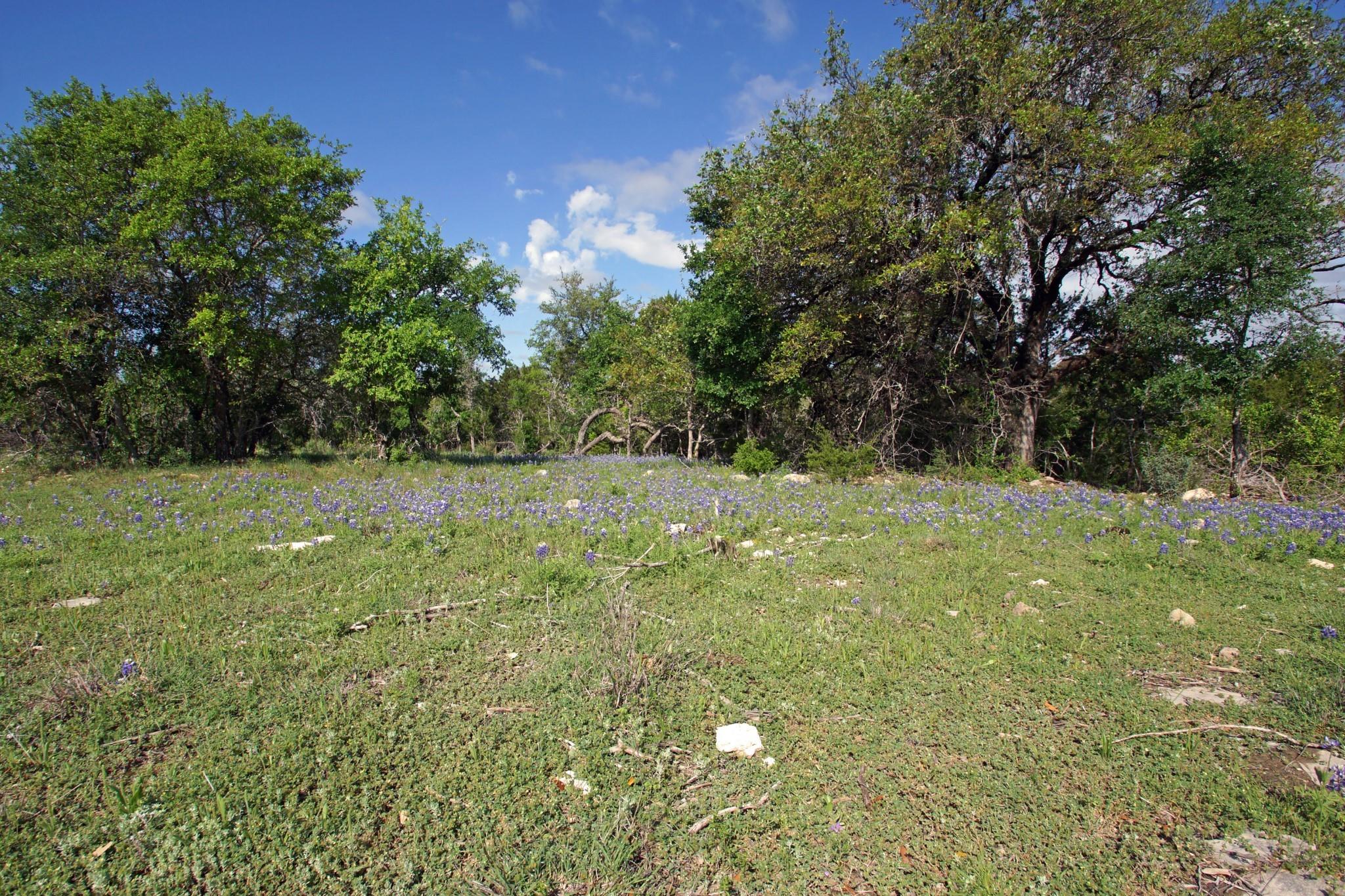 Lot 48 Bridget Court Briggs TX 78608