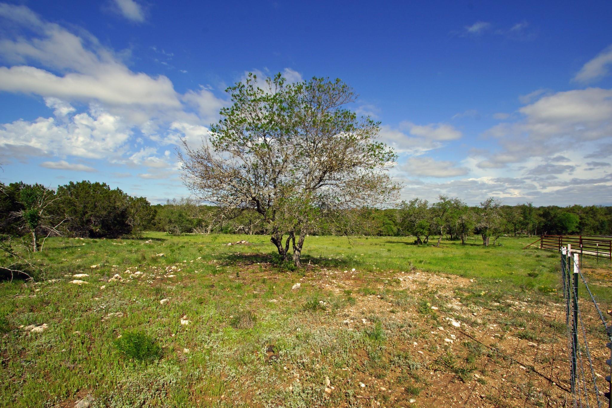 Lot 48 Bridget Court Briggs TX 78608
