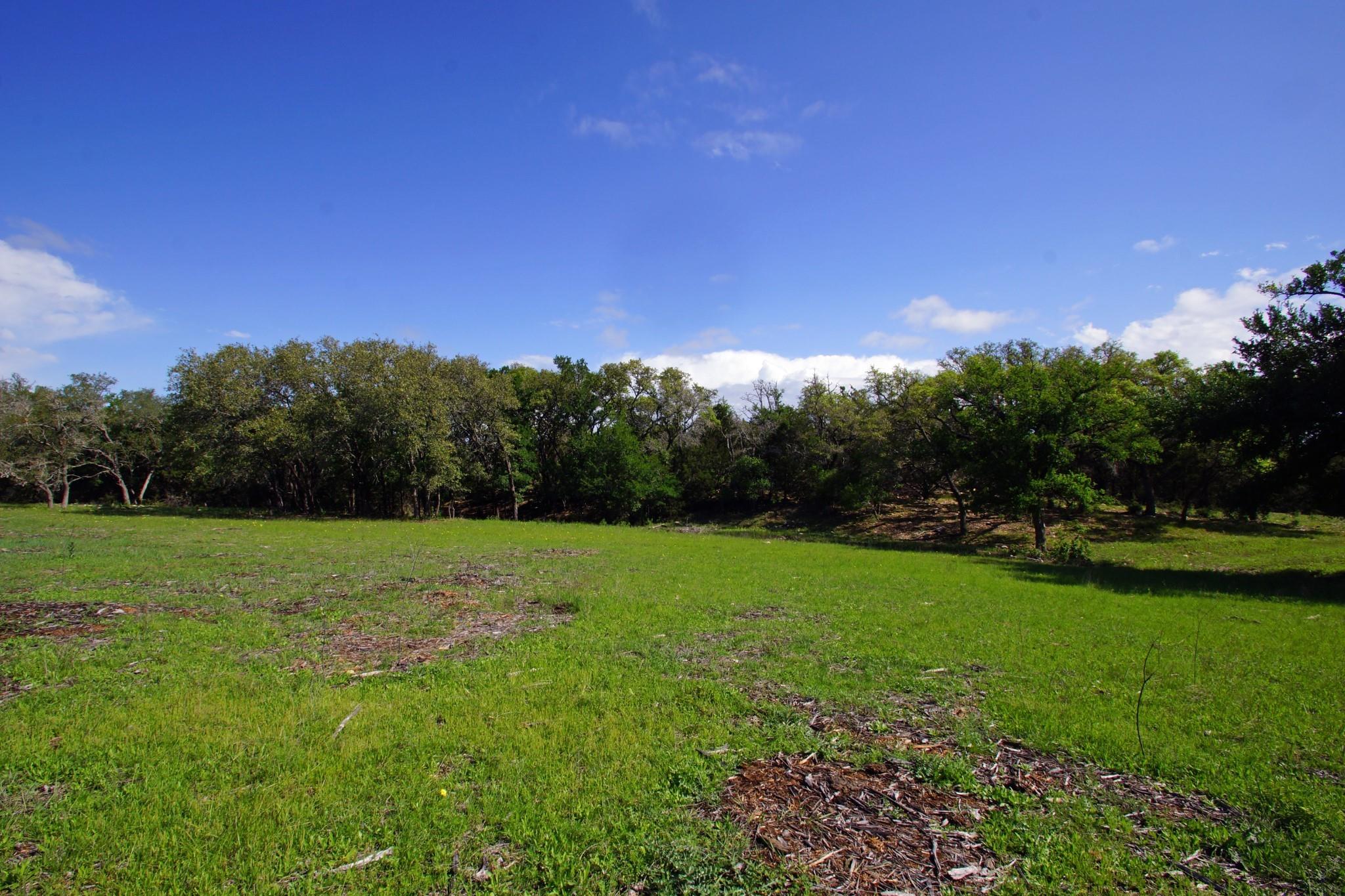 Lot 48 Bridget Court Briggs TX 78608
