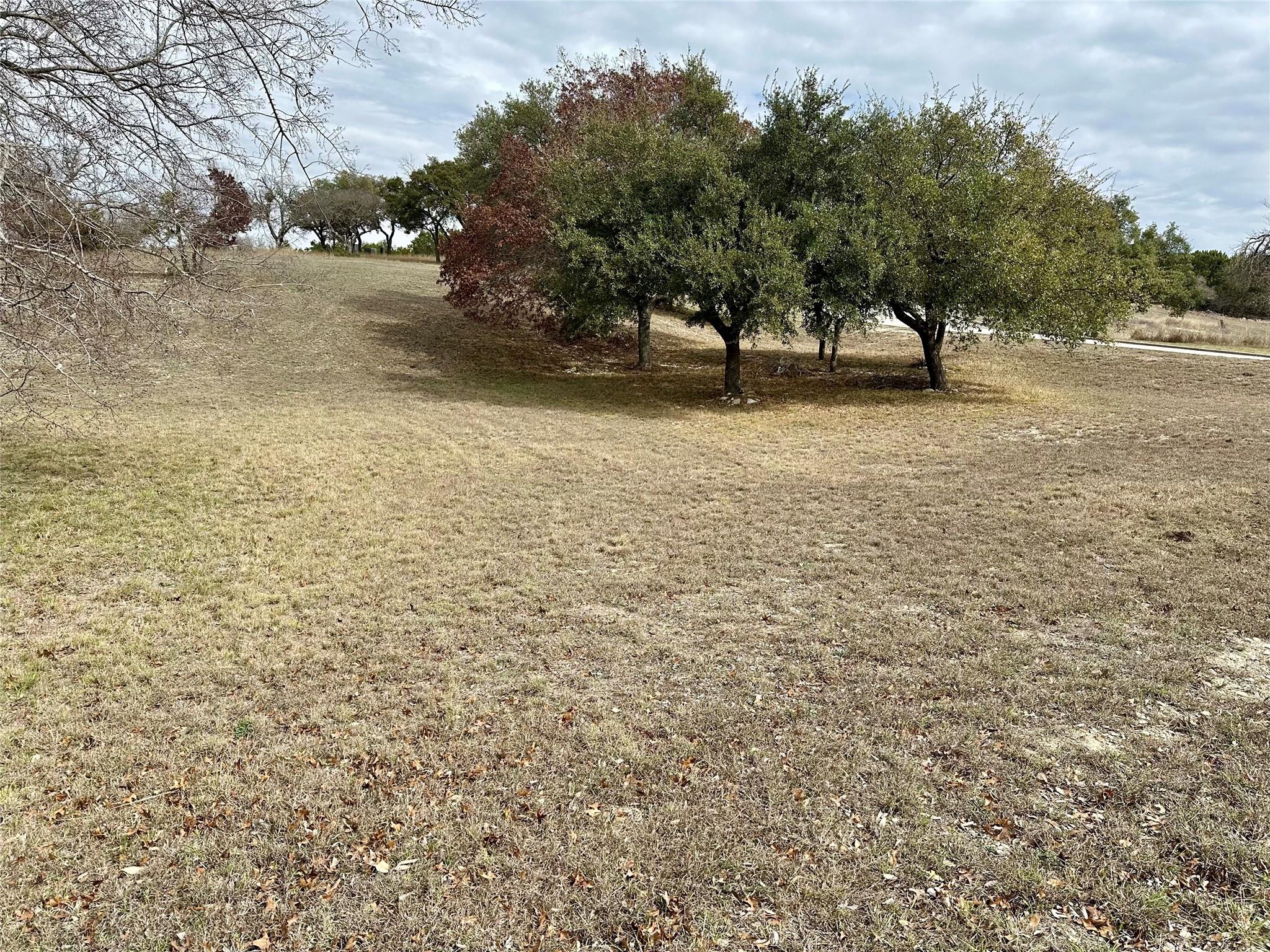 Lot 24 Andy's Point Burnet TX 78611