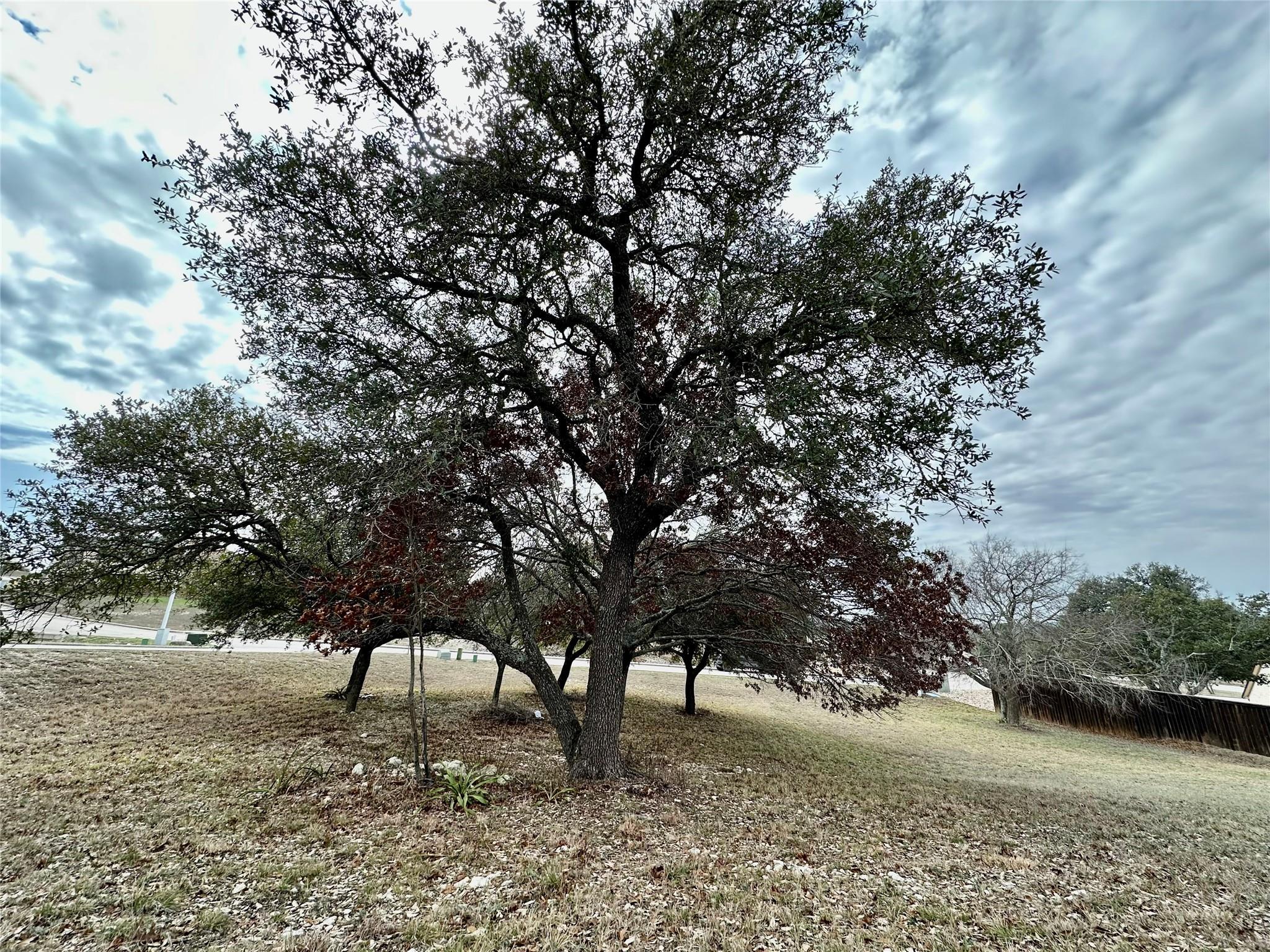Lot 24 Andy's Point Burnet TX 78611