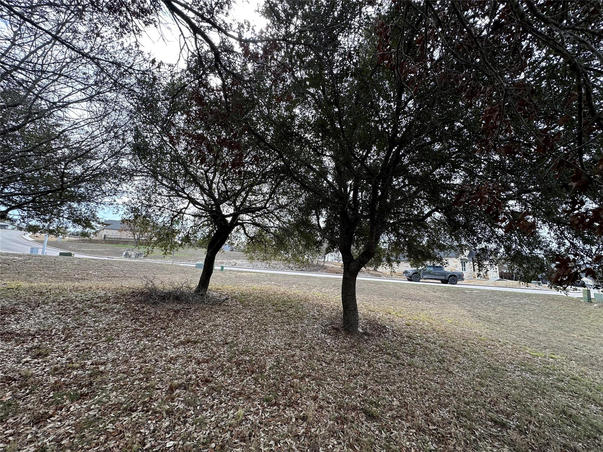 Lot 24 Andy's Point Burnet TX 78611