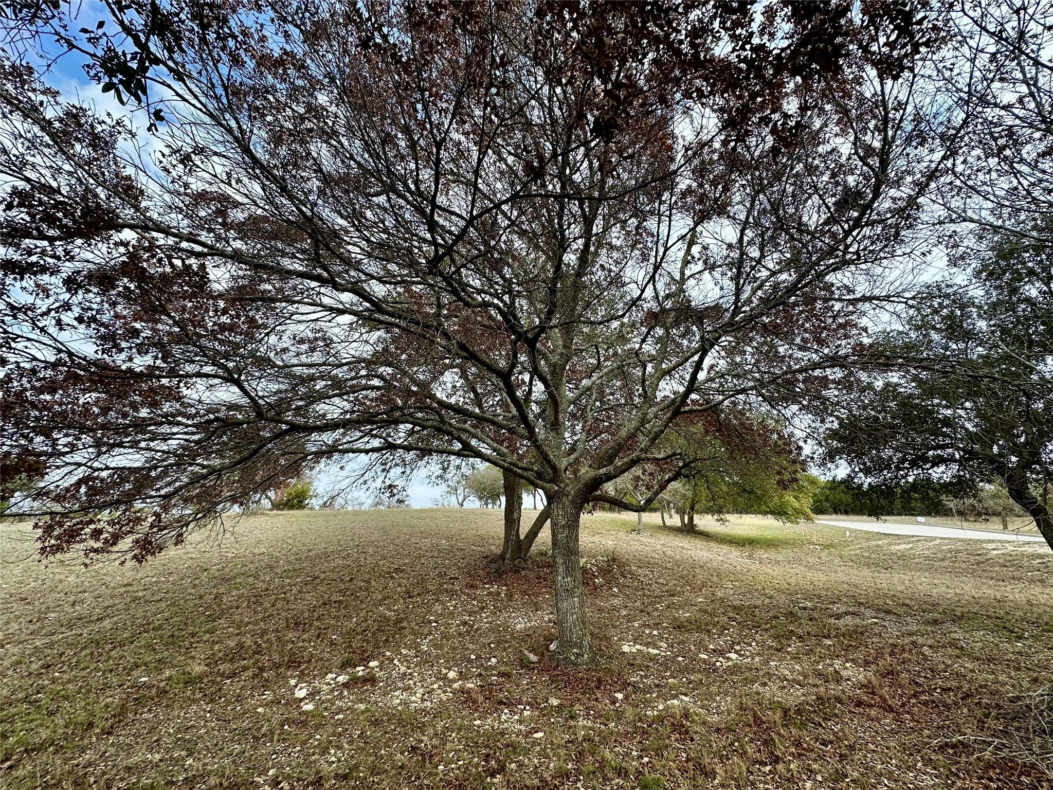 Lot 24 Andy's Point Burnet TX 78611