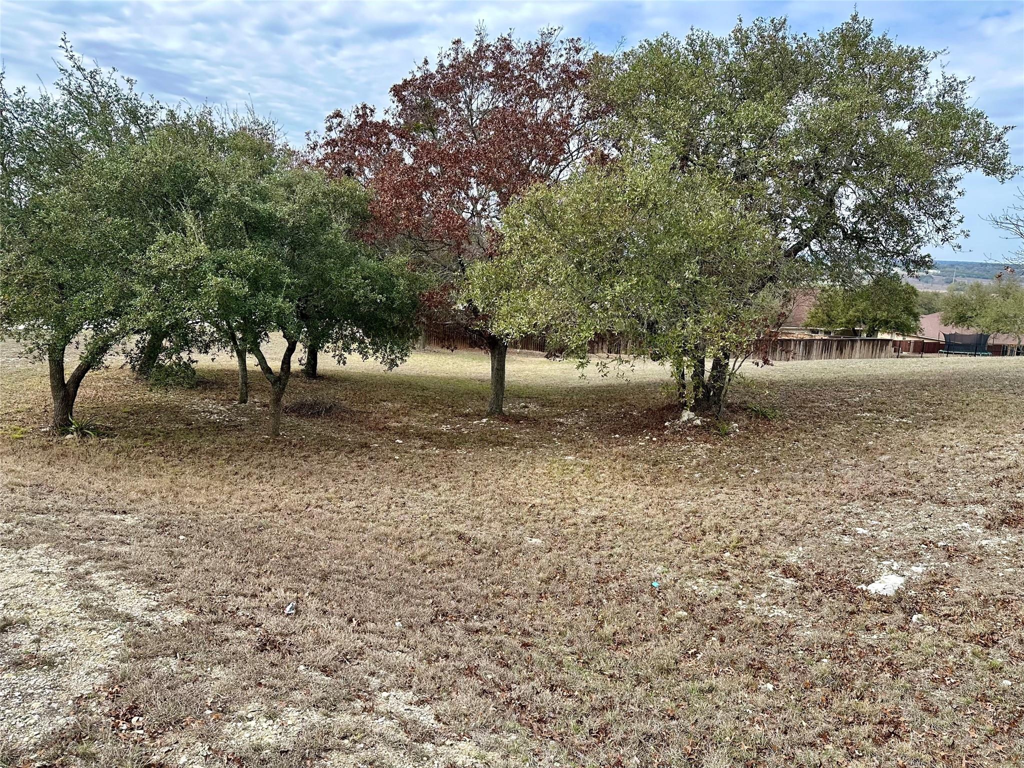 Lot 24 Andy's Point Burnet TX 78611