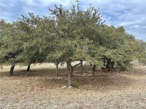 Lot 24 Andy's Point Burnet TX 78611