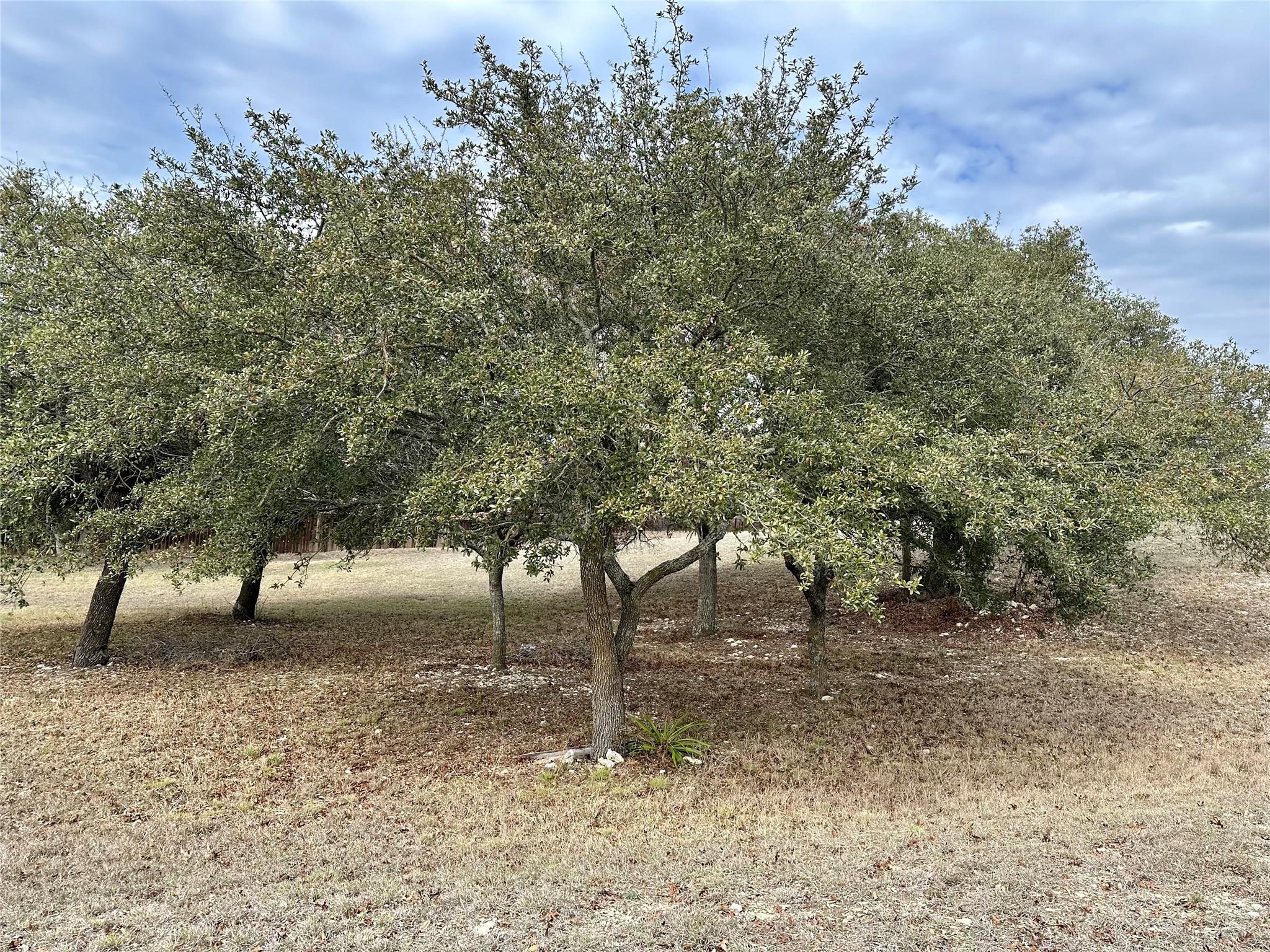 Lot 24 Andy's Point Burnet TX 78611