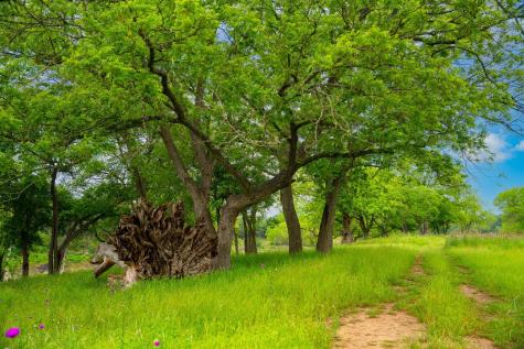 1718 Paradise Parkway Canyon Lake TX 78133