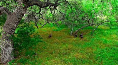 1718 Paradise Parkway Canyon Lake TX 78133