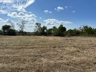 217 Twin Oaks Lane Floresville TX 78114