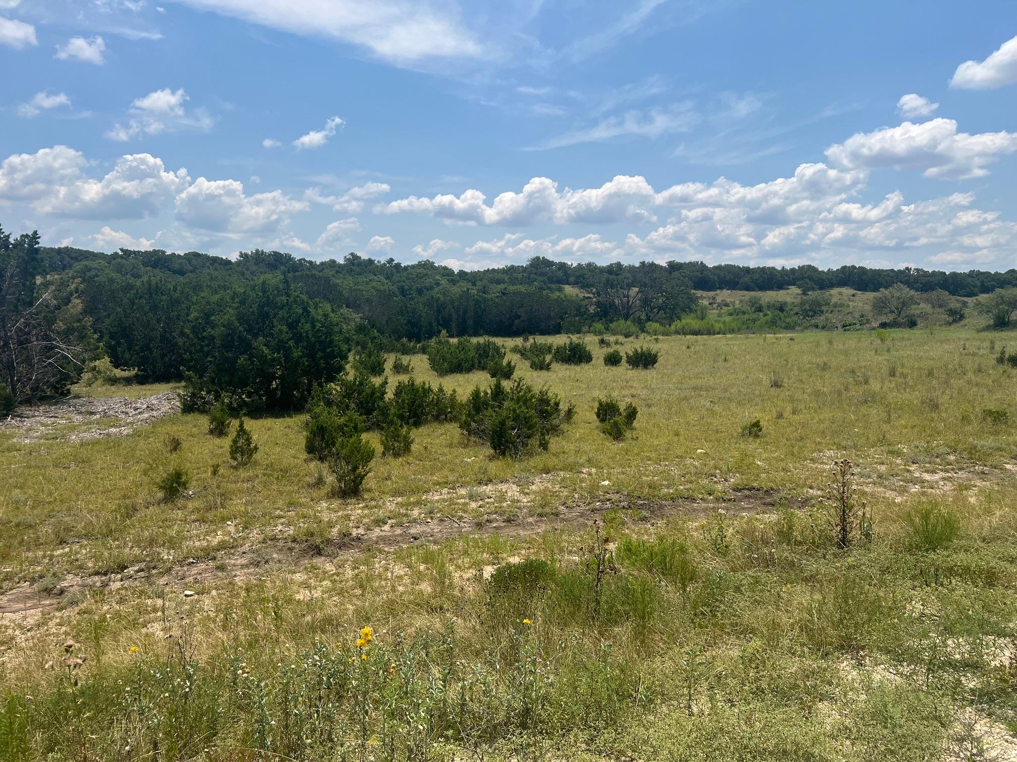 5.04 Acres Mourning Dove Lane Lampasas TX 76550