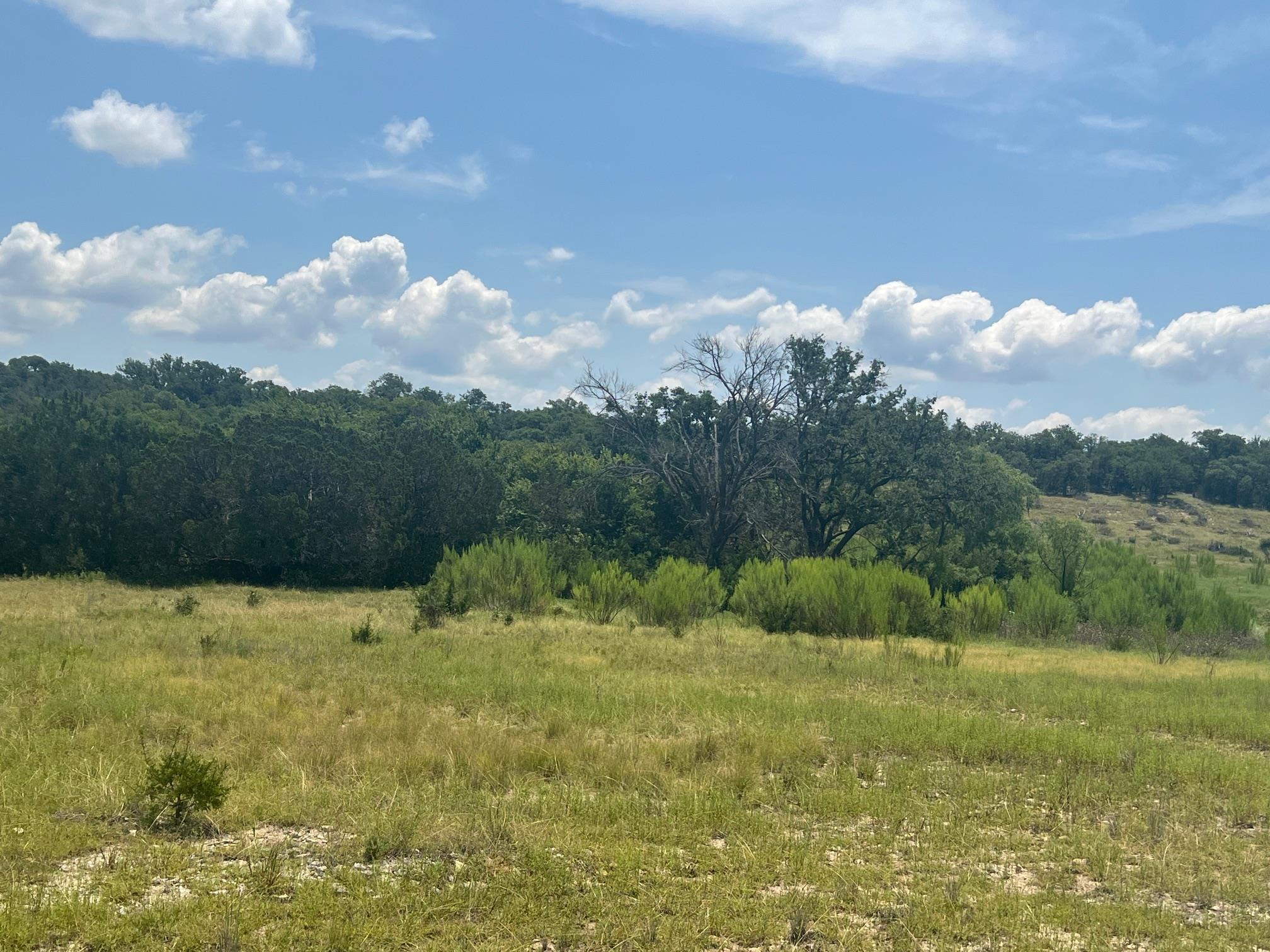 5.04 Acres Mourning Dove Lane Lampasas TX 76550