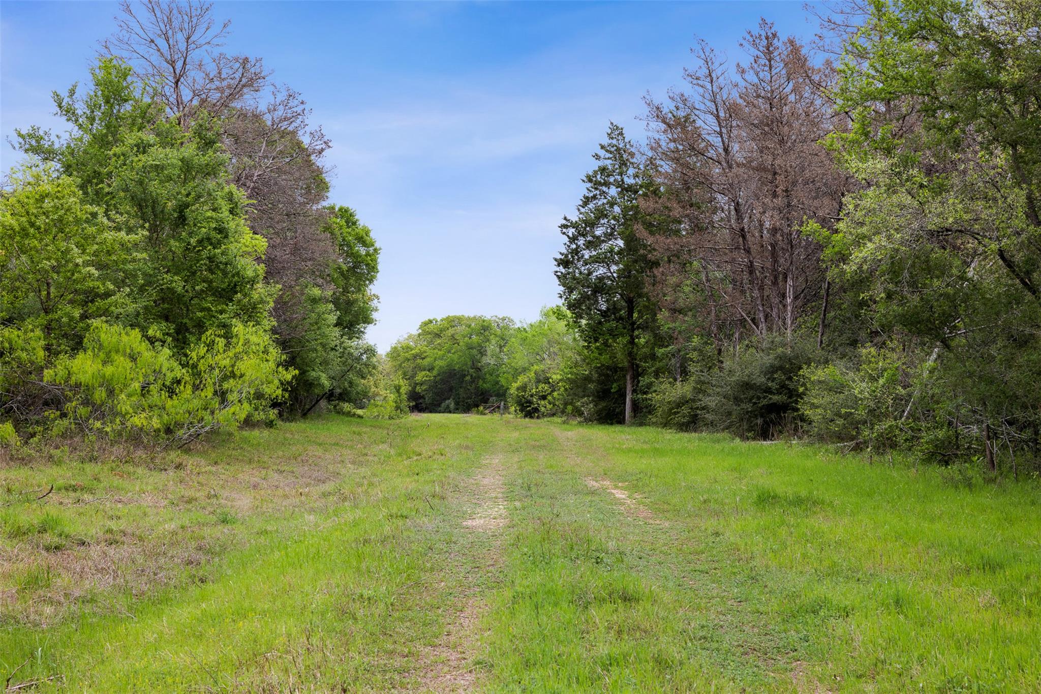 4822 Fm 1624 Road Lexington TX 78947