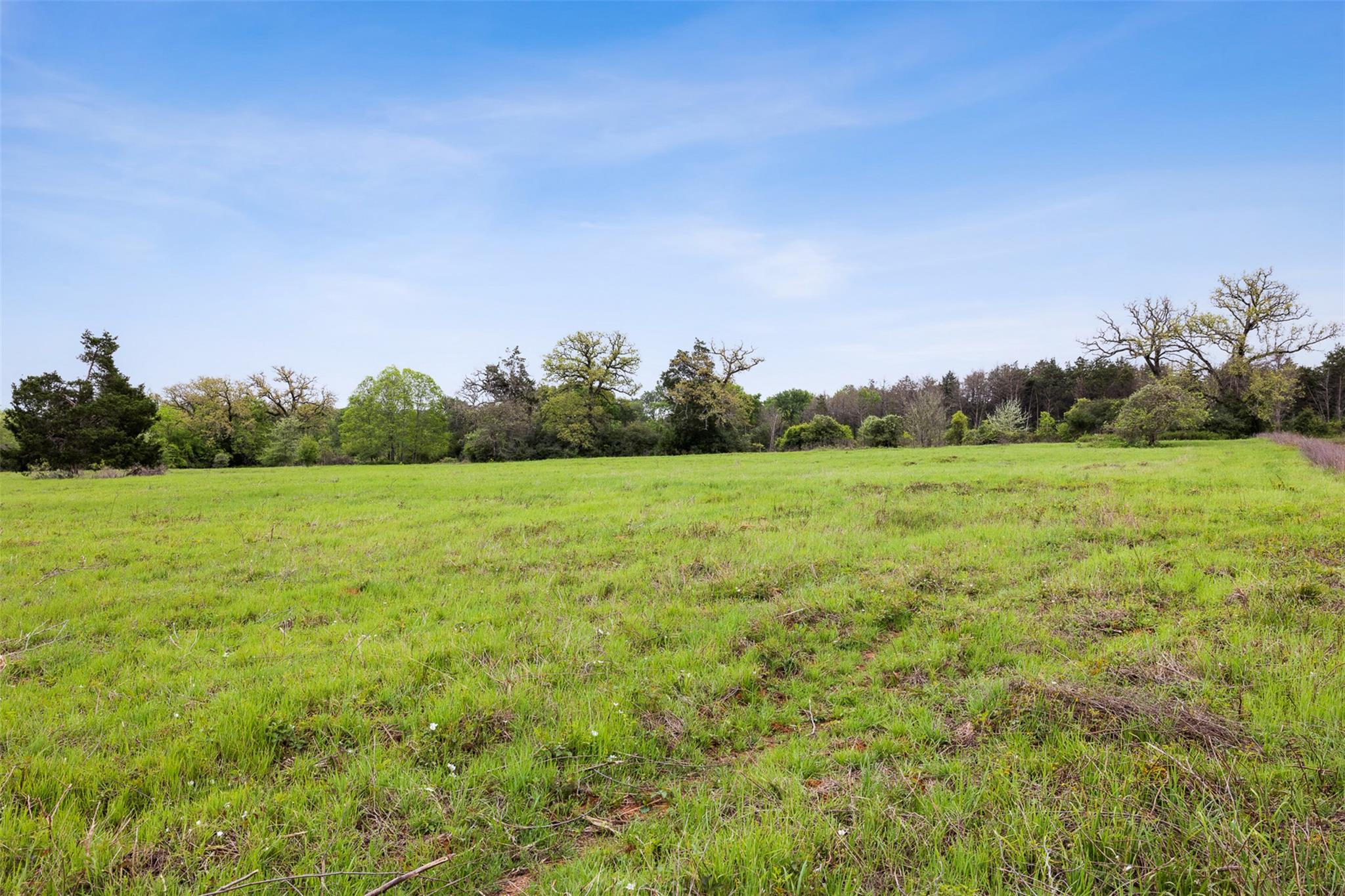 4822 Fm 1624 Road Lexington TX 78947