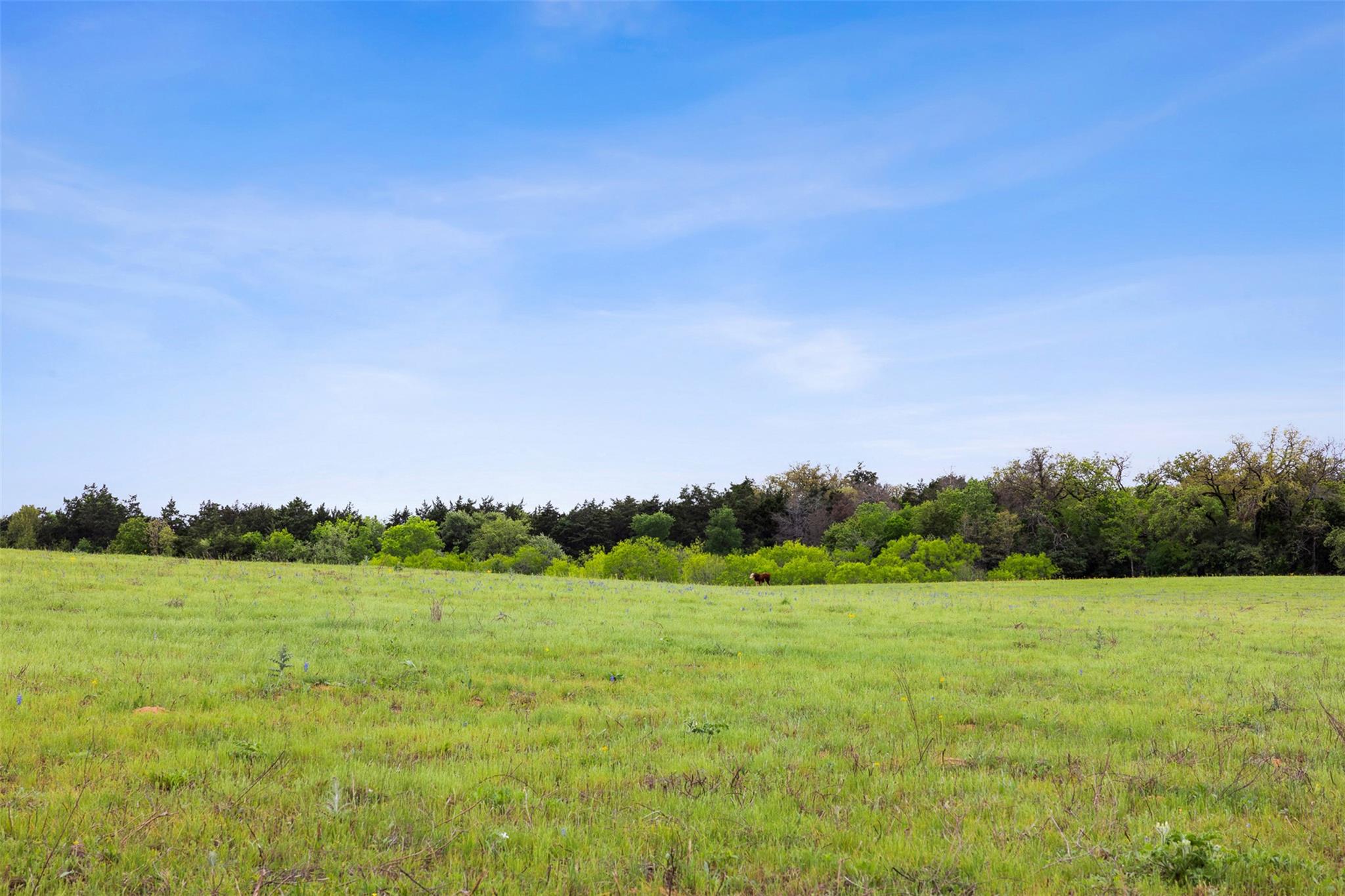 4822 Fm 1624 Road Lexington TX 78947