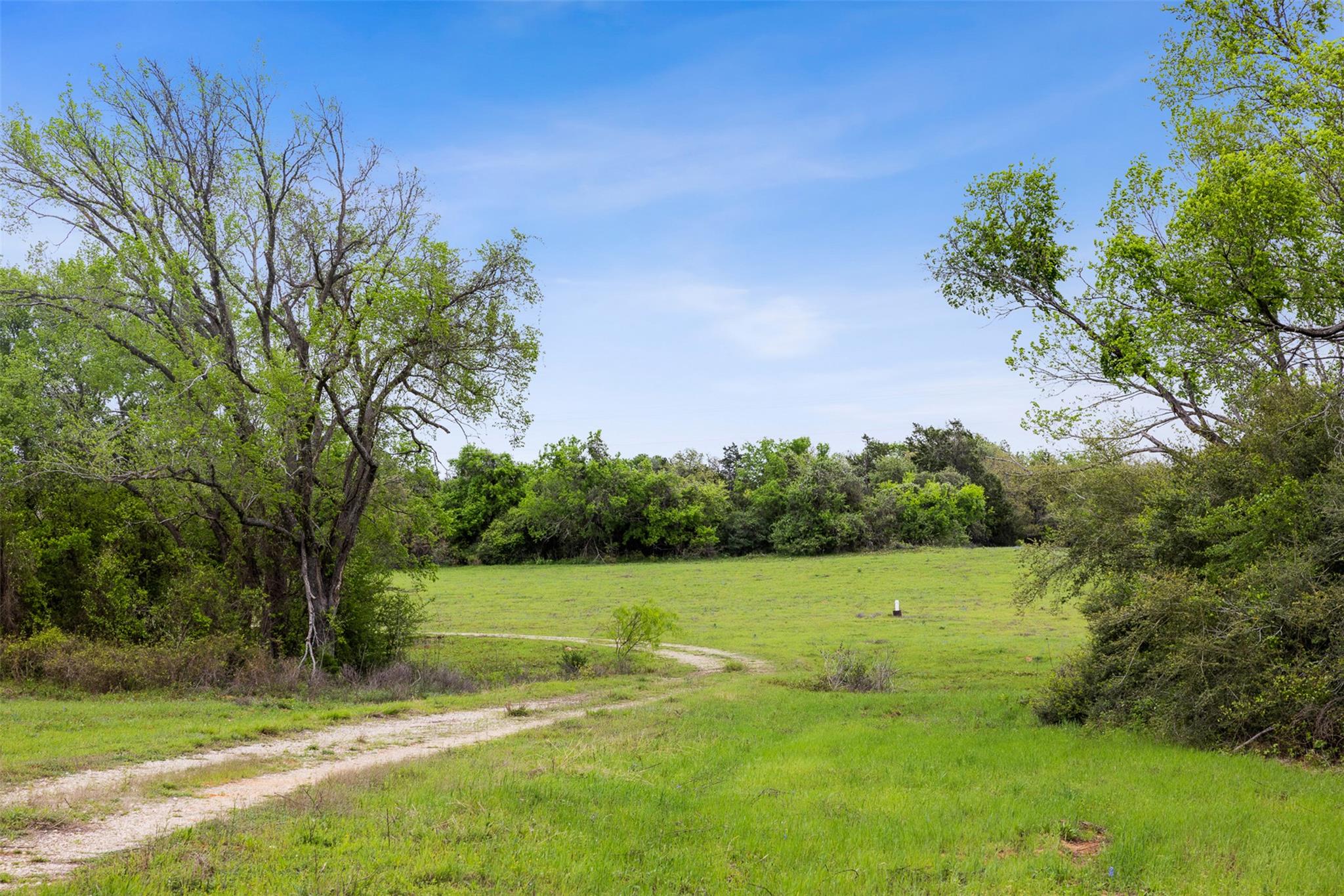 4822 Fm 1624 Road Lexington TX 78947