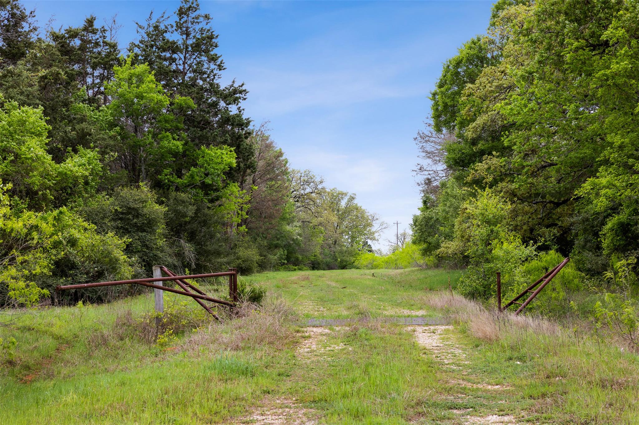 4822 Fm 1624 Road Lexington TX 78947