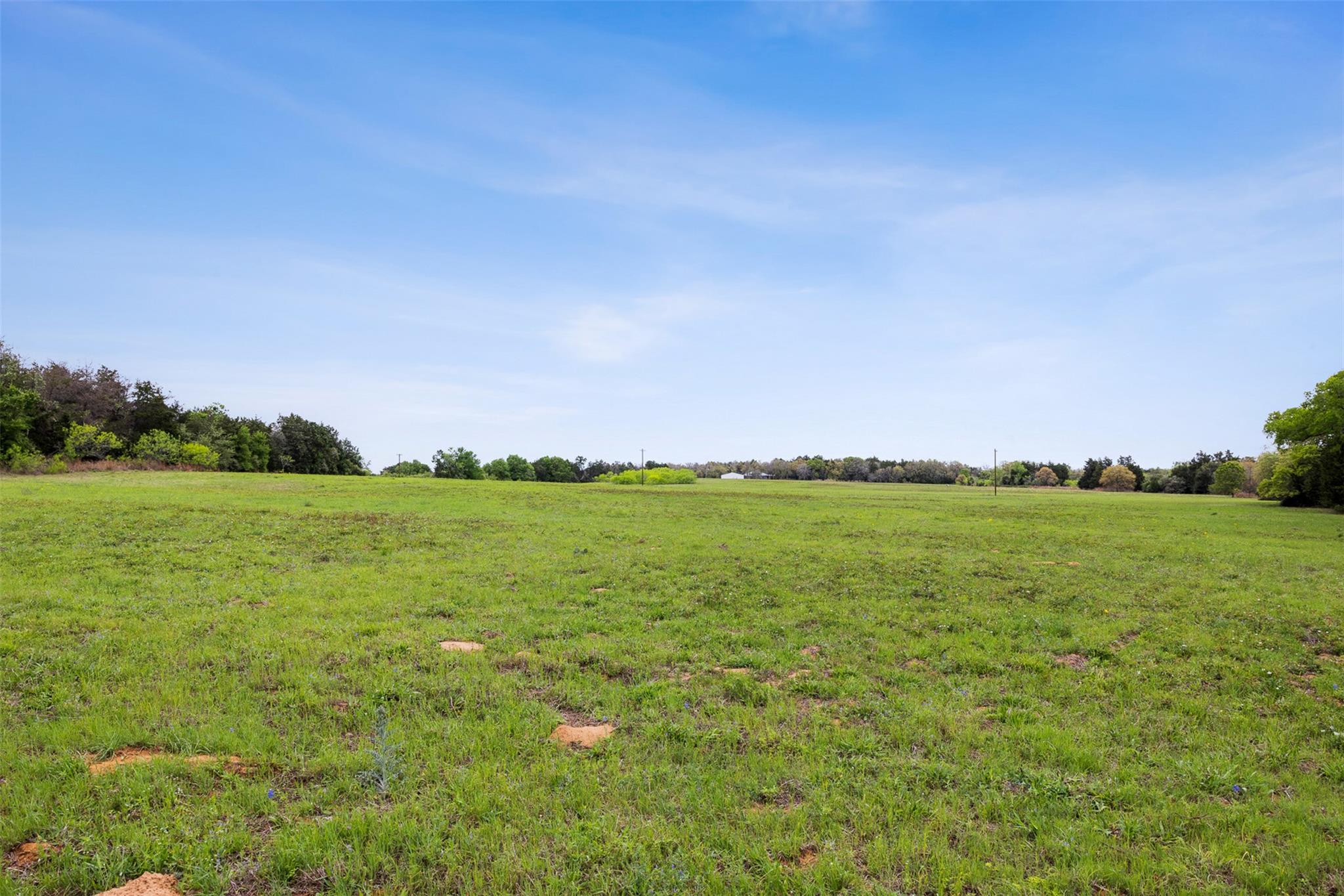 4822 Fm 1624 Road Lexington TX 78947