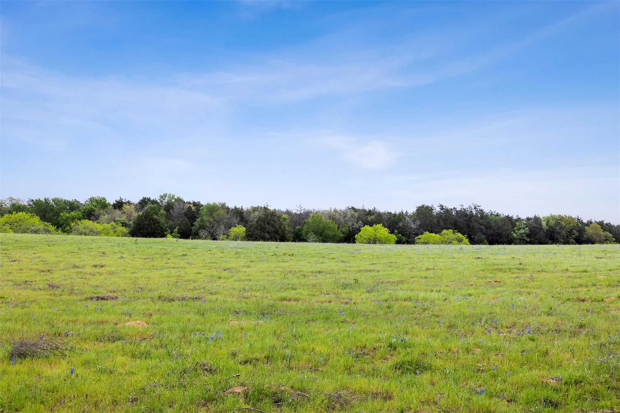 4822 Fm 1624 Road Lexington TX 78947