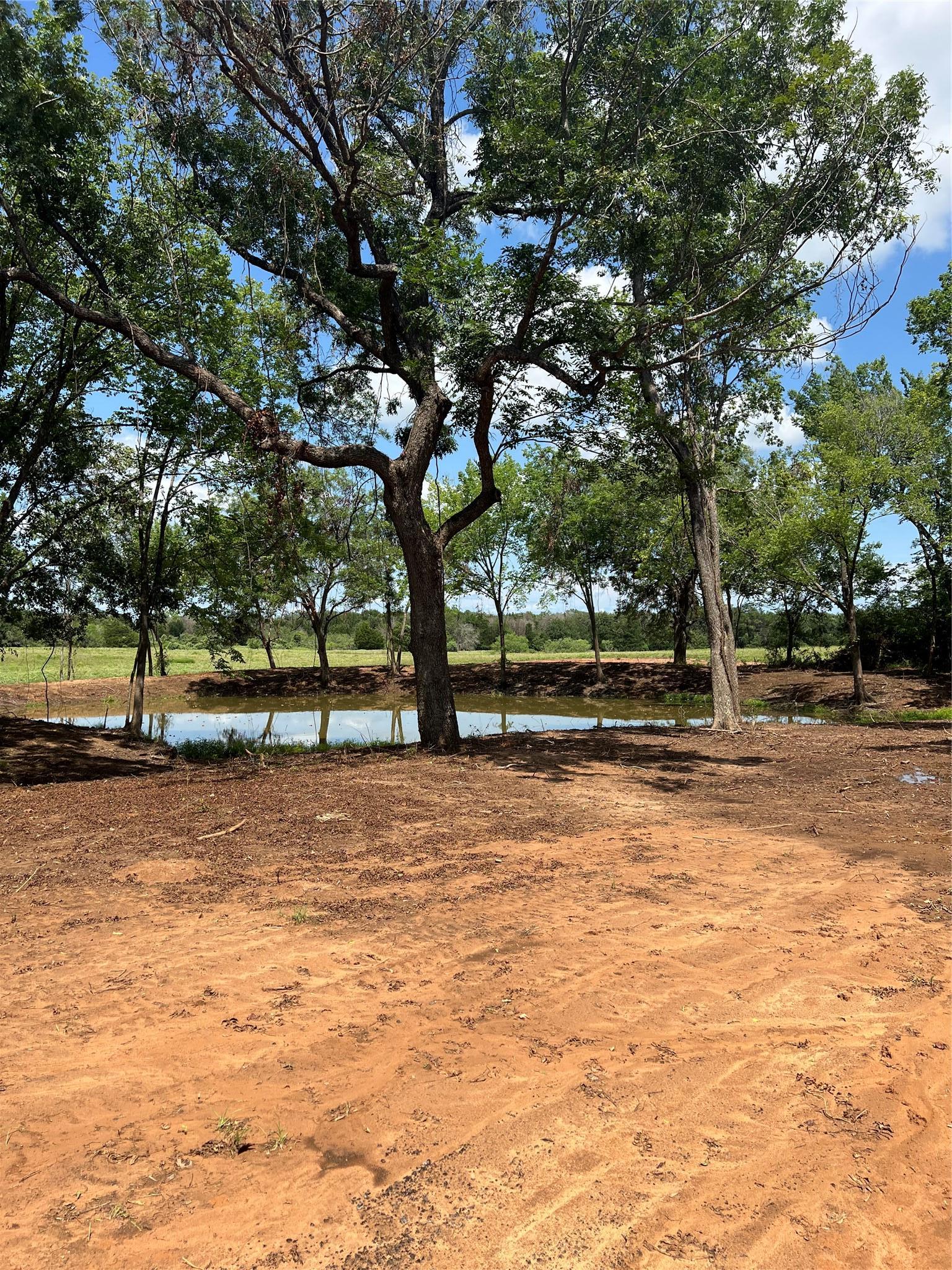 4822 Fm 1624 Road Lexington TX 78947
