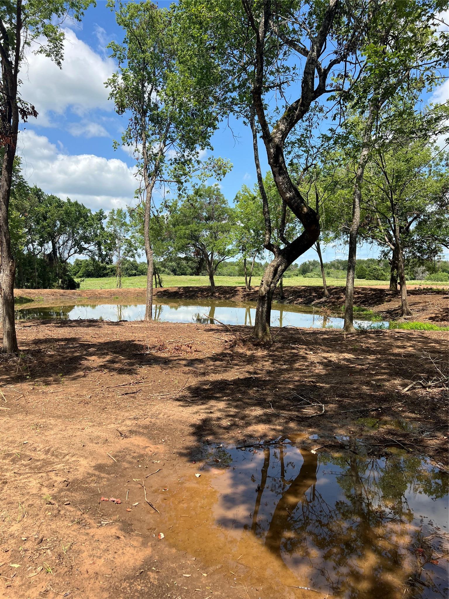 4822 Fm 1624 Road Lexington TX 78947