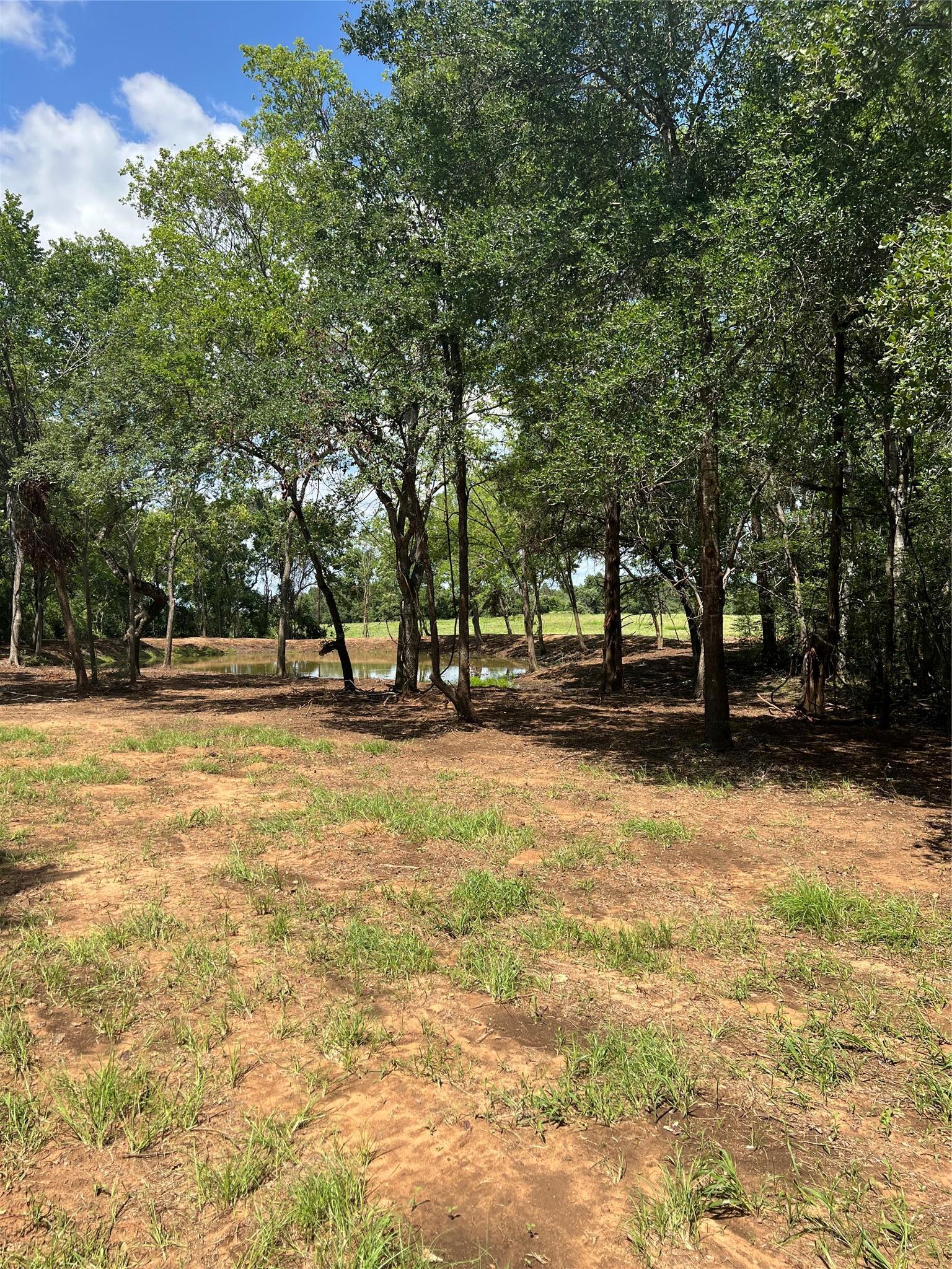 4822 Fm 1624 Road Lexington TX 78947