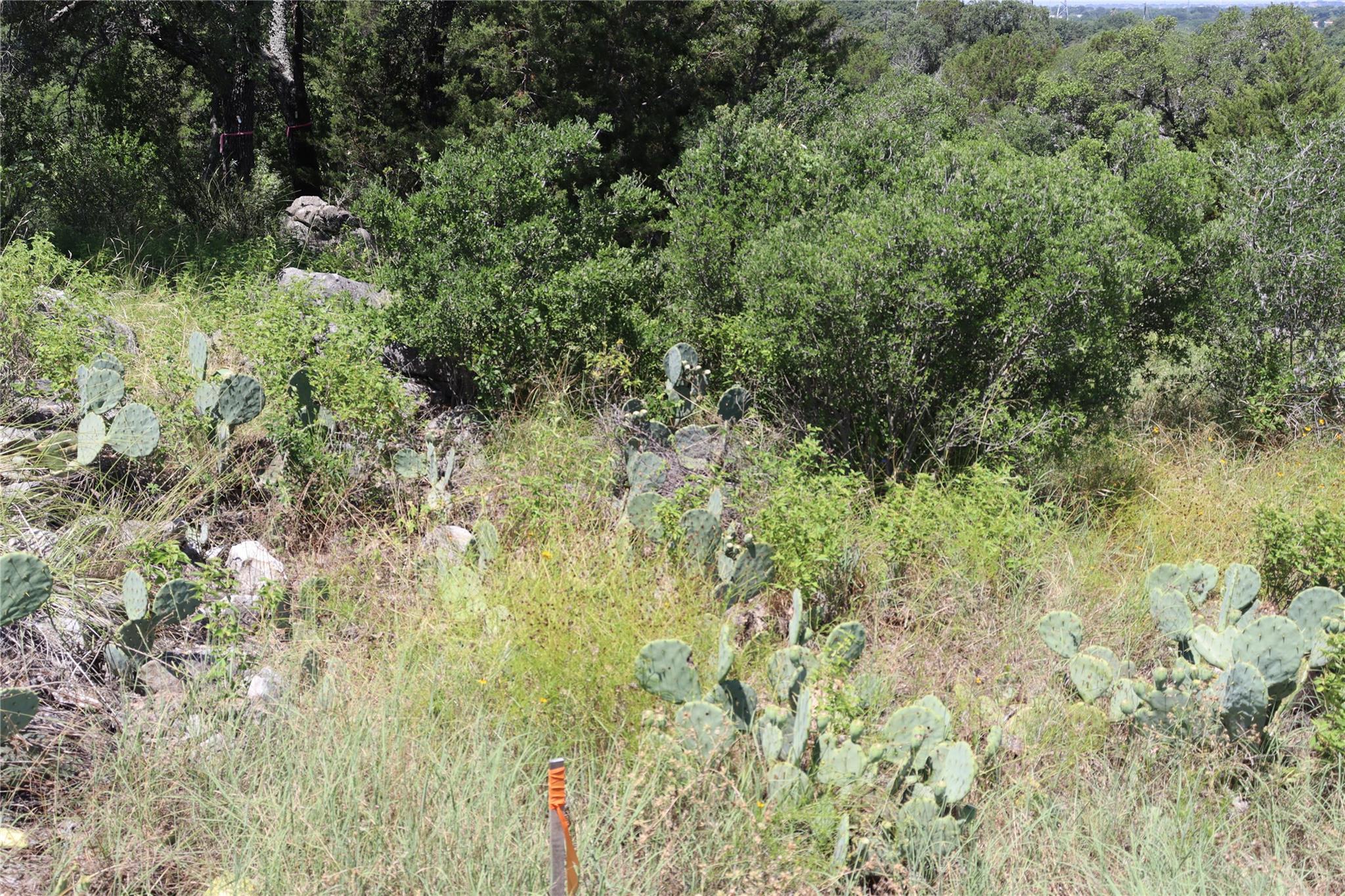 Tbd Lot 37054 Thanksgiving Mountain Road Horseshoe Bay TX 78657