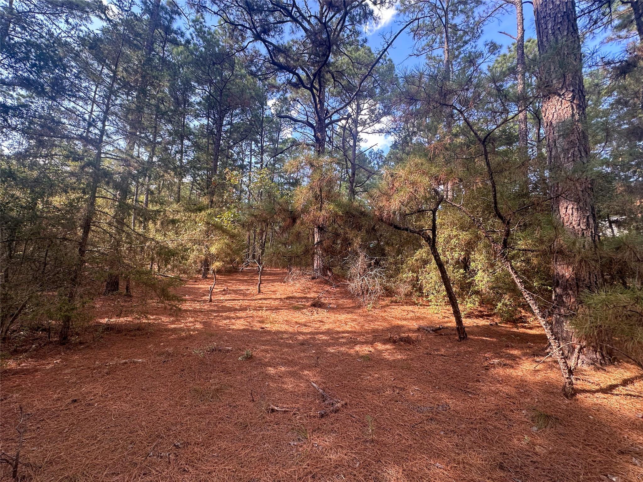Lot 85 Hill Ridge Drive Bastrop TX 78602