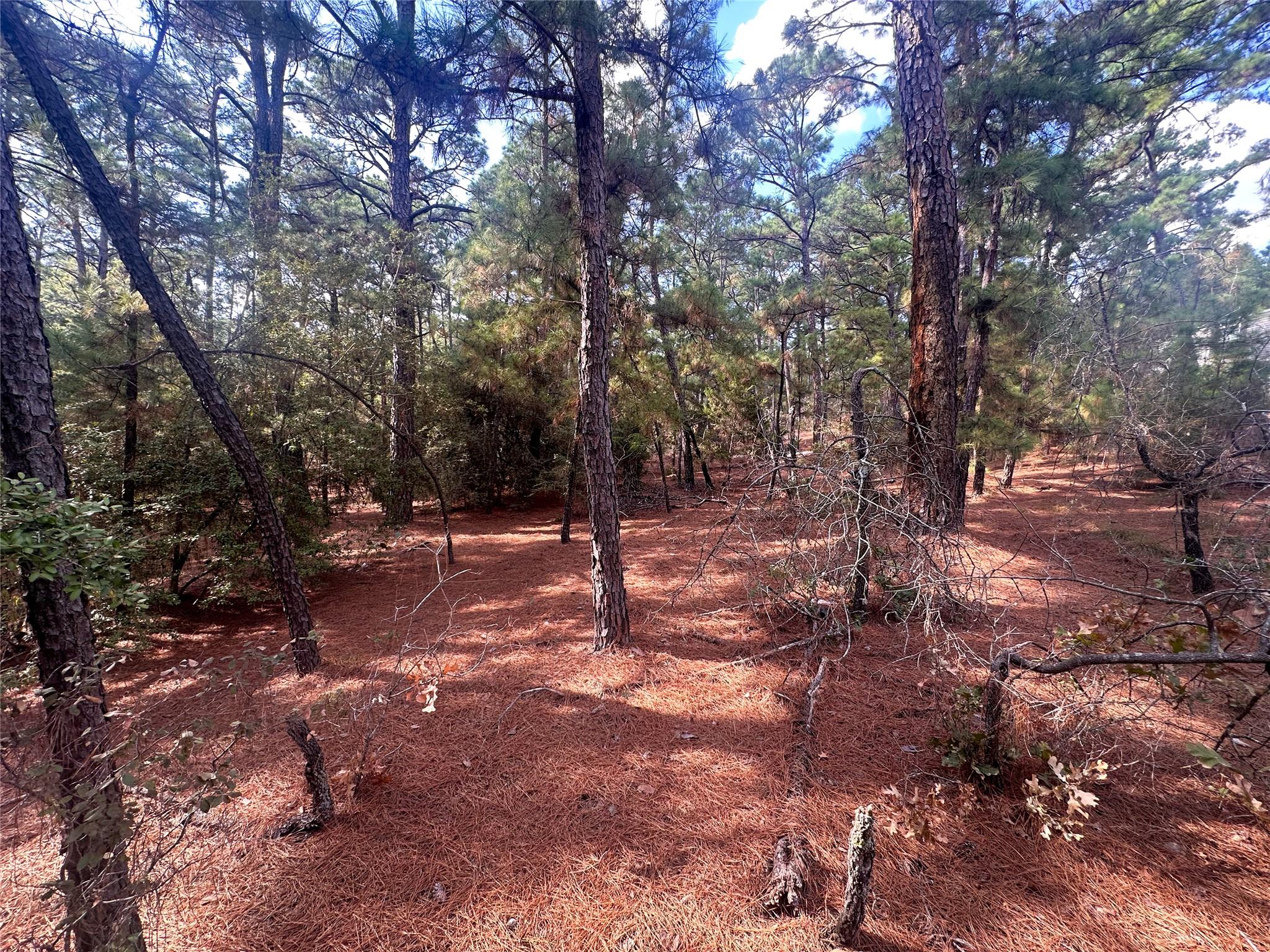 Lot 85 Hill Ridge Drive Bastrop TX 78602