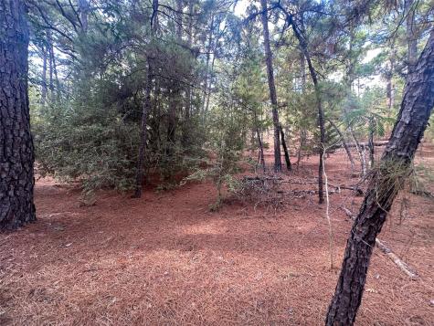 Lot 85 Hill Ridge Drive Bastrop TX 78602