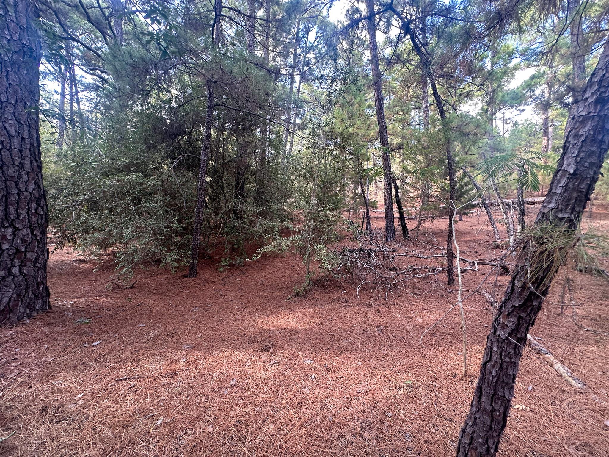 Lot 85 Hill Ridge Drive Bastrop TX 78602