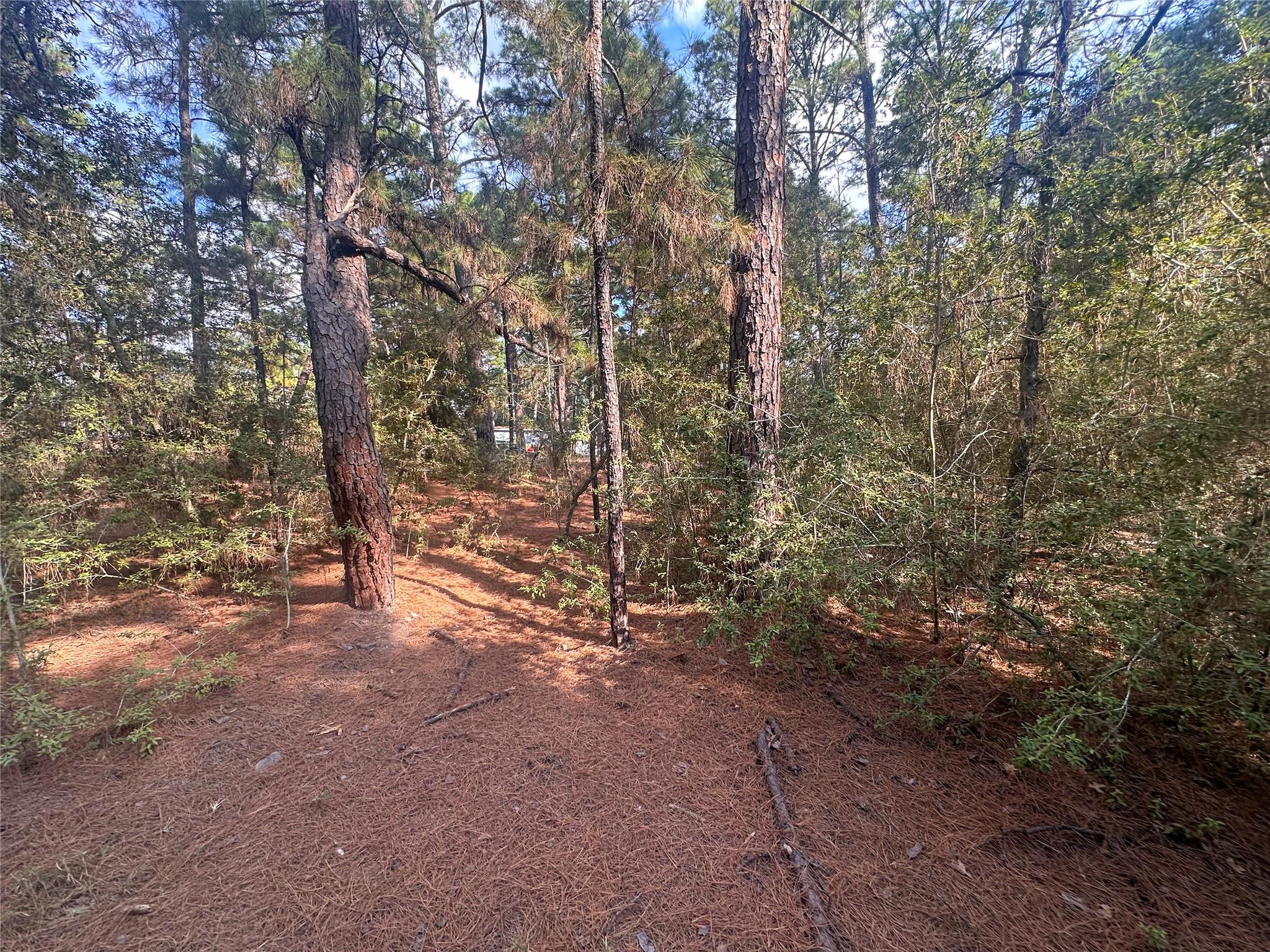 Lot 85 Hill Ridge Drive Bastrop TX 78602