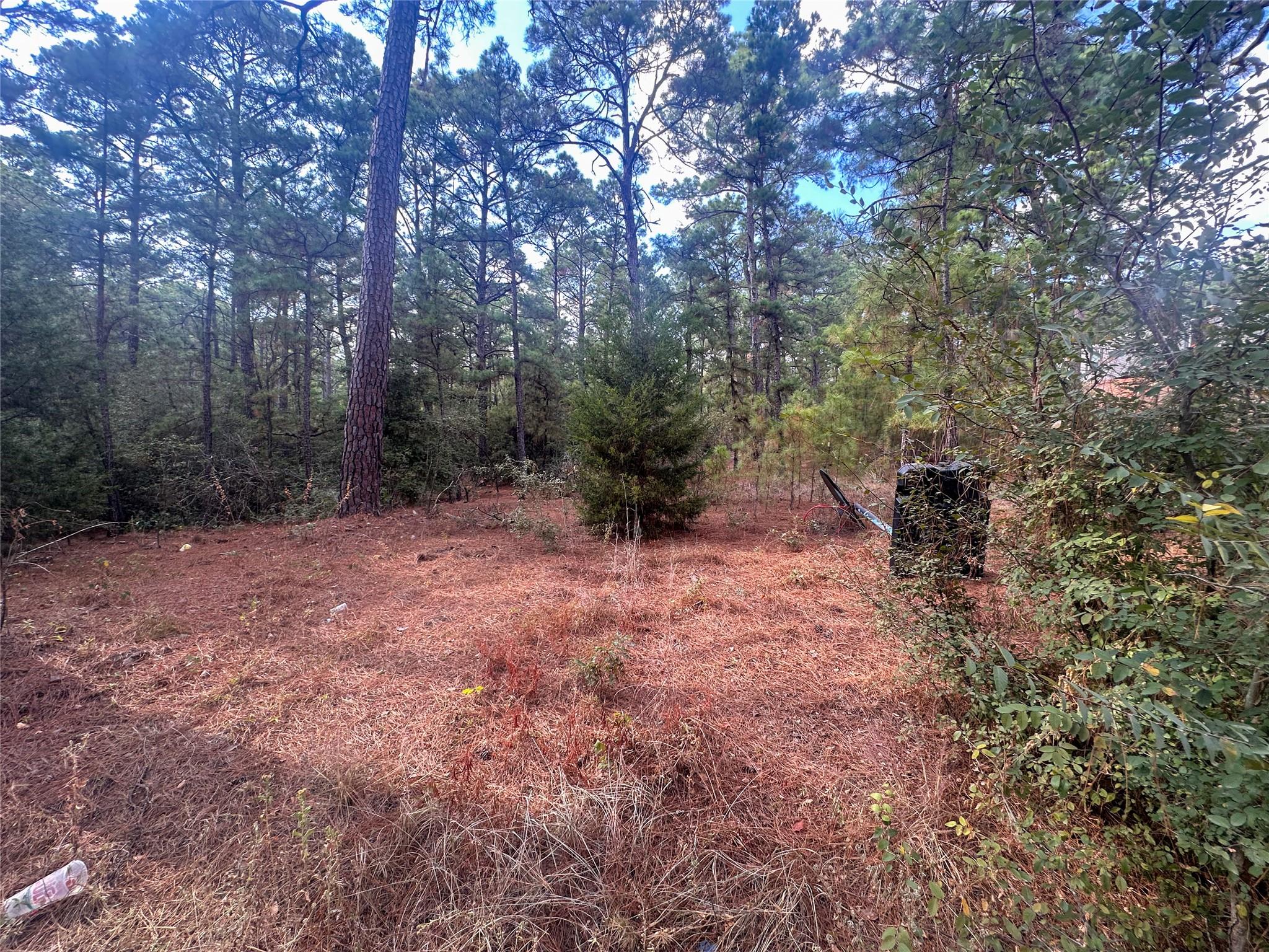 Lot 85 Hill Ridge Drive Bastrop TX 78602