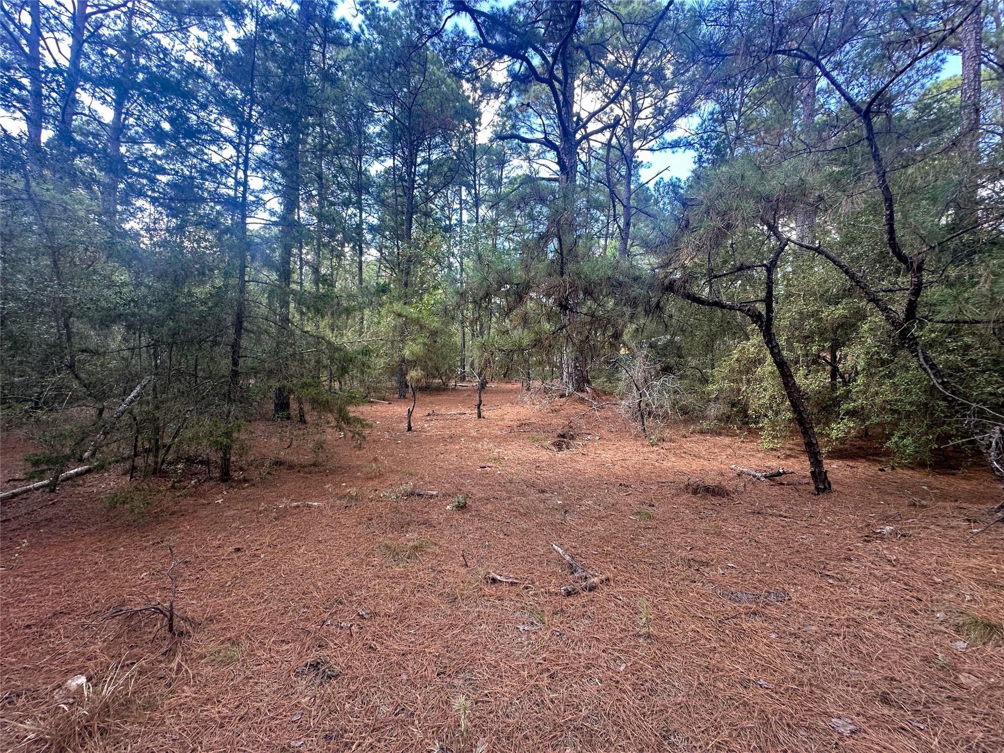 Lot 85 Hill Ridge Drive Bastrop TX 78602