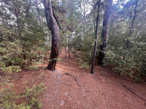 Lot 85 Hill Ridge Drive Bastrop TX 78602