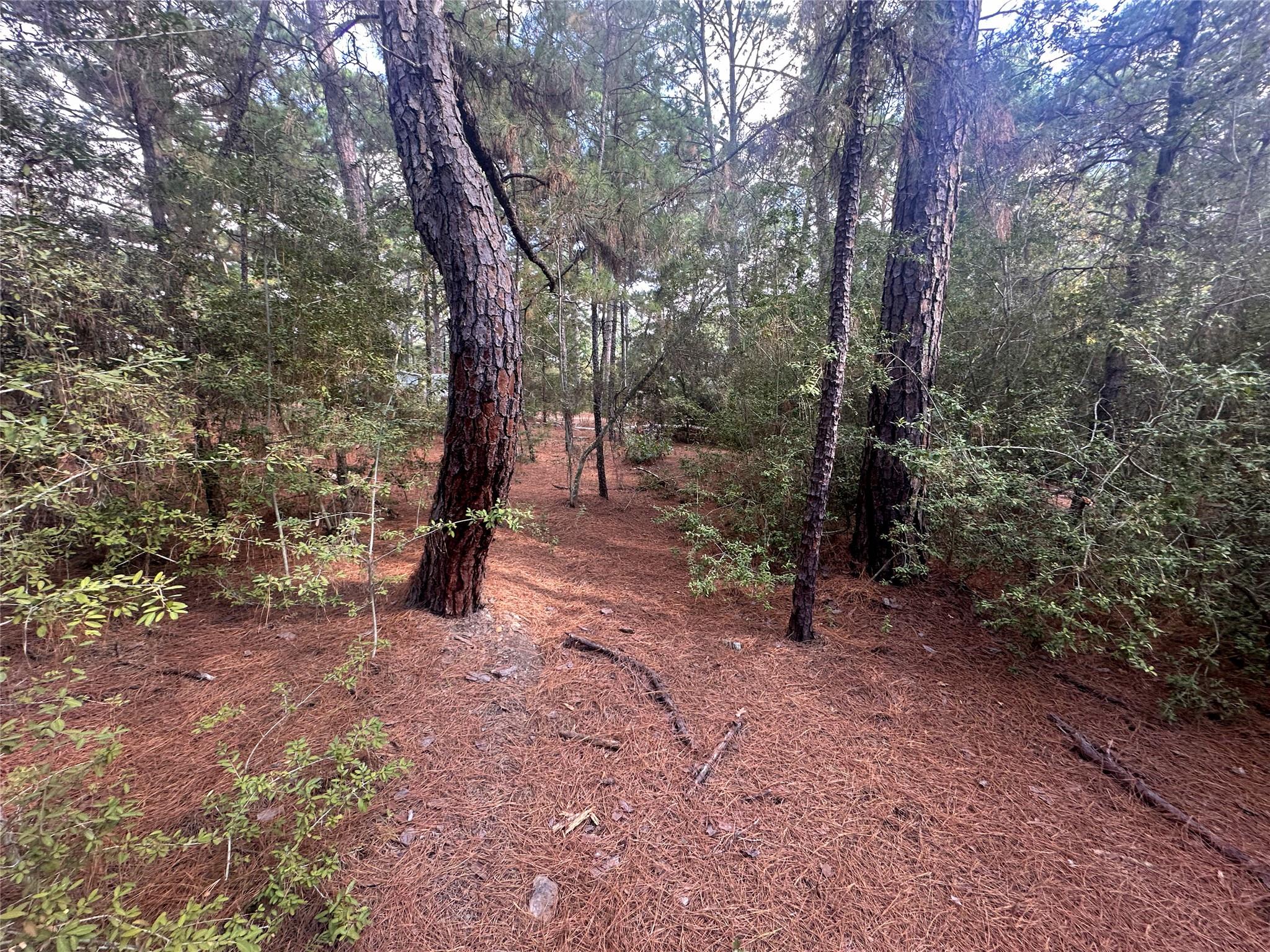 Lot 85 Hill Ridge Drive Bastrop TX 78602